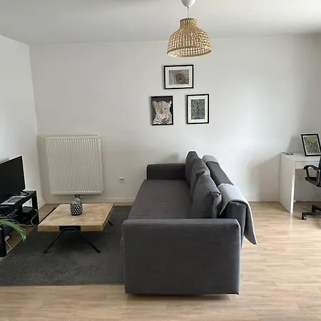 Appartement Proche Chu Avec Balcon Et Parking Lille Exterior photo