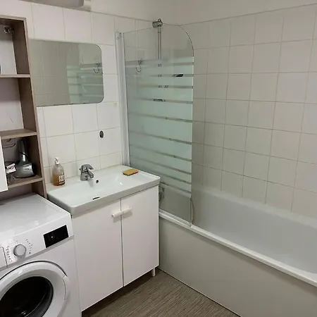 Appartement Proche Chu Avec Balcon Et Parking Lille Exterior photo