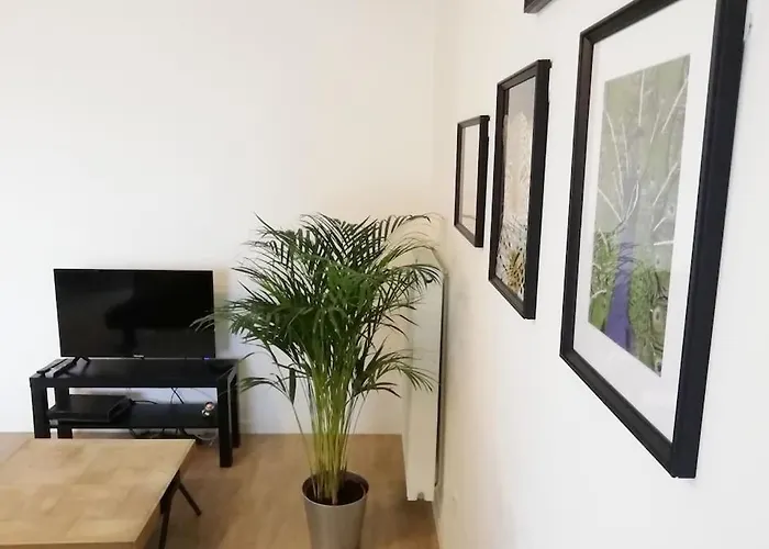 Appartement Proche Chu Avec Balcon Et Parking