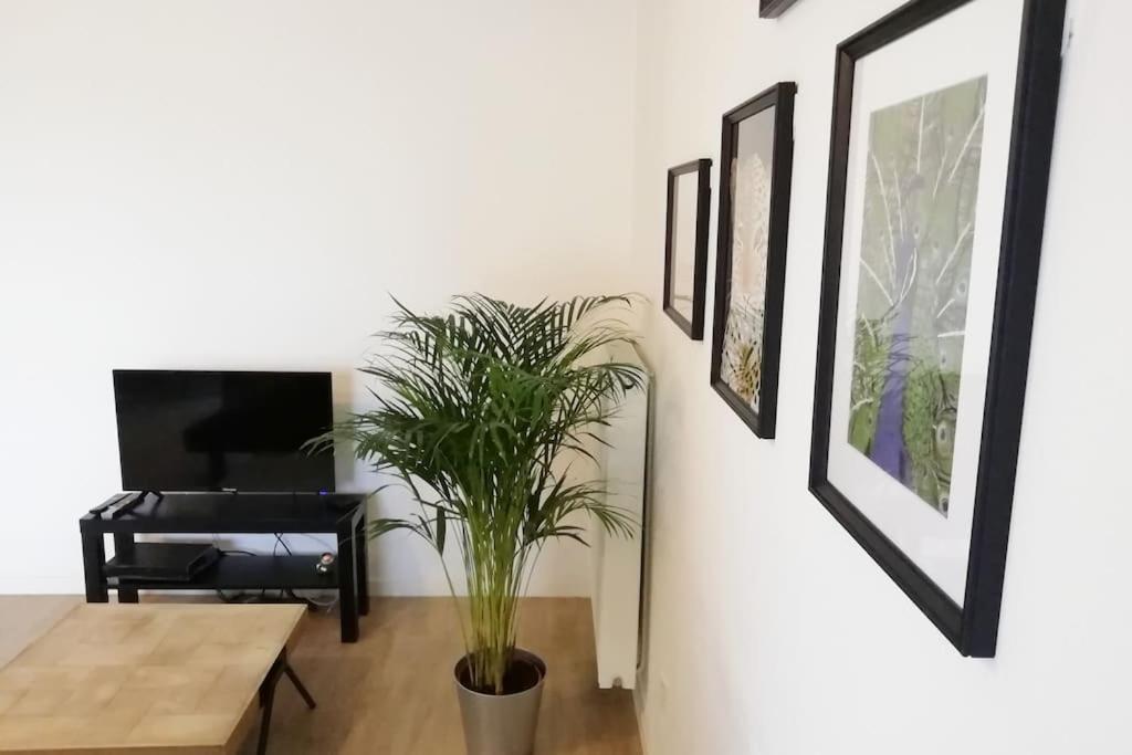 Apartamento Proche Chu Avec Balcon Et Parking *